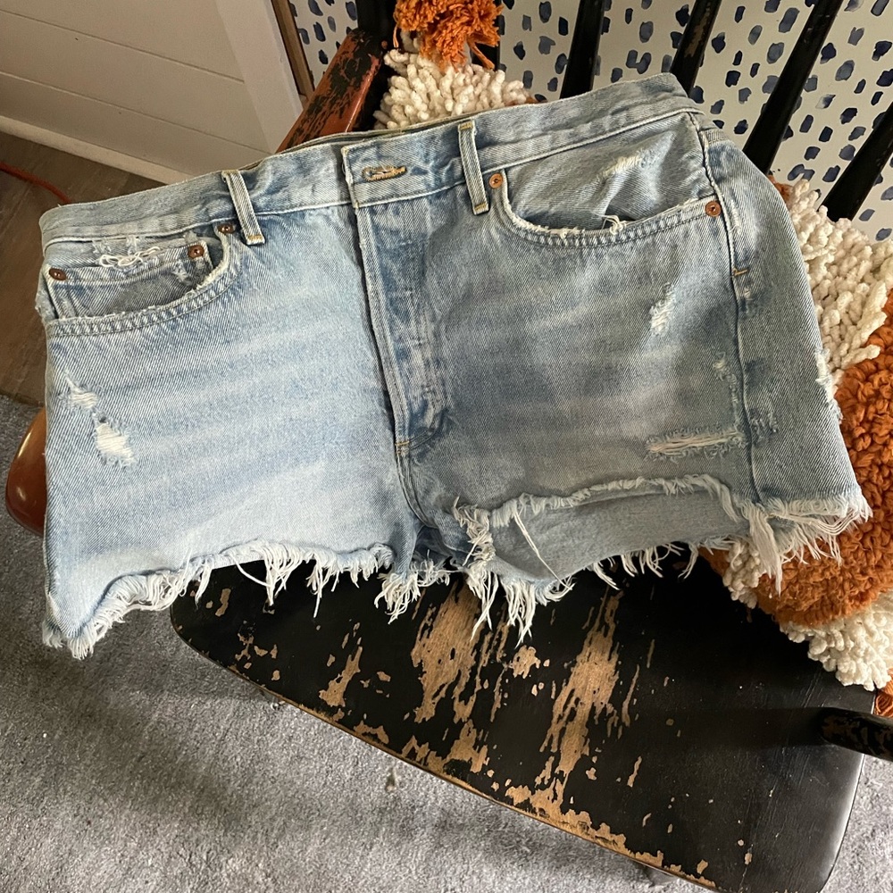 Agolde Parker Button Fly High Rise Shorts